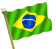 Brazil Bras&iacute;lia National Flag