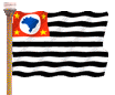 S&atilde;o Paulo