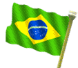 Brazil Brasília National Flag