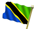 Republic of Tanzania Flag