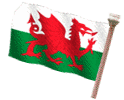 Wales Red Dragon RH