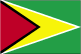 Flag of Guyana